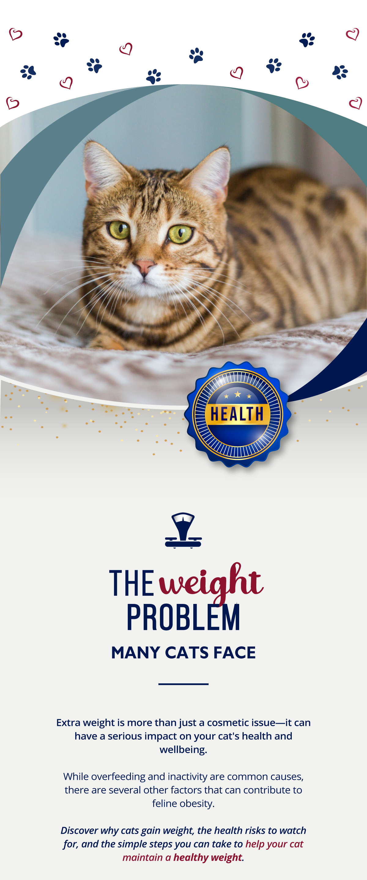 Extra weight is more than just a cosmetic issue�it can
have a serious impact on your cat's health and wellbeing.