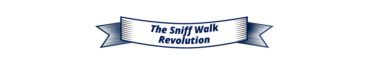 The Sniff Walk Revolution