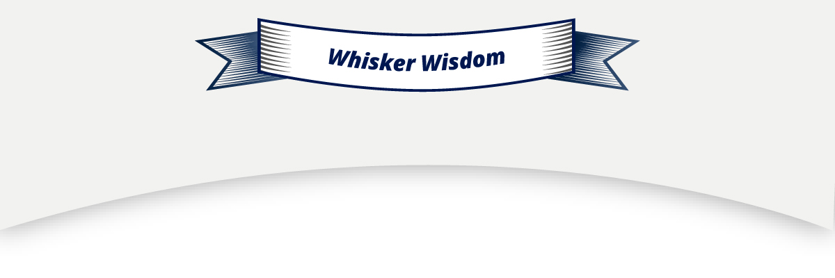 Whisker Wisdom
