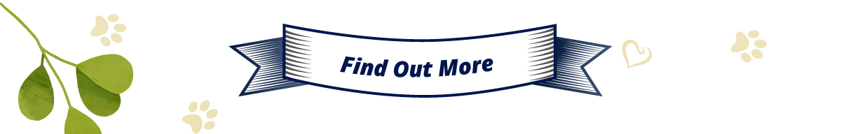 Find Out More
