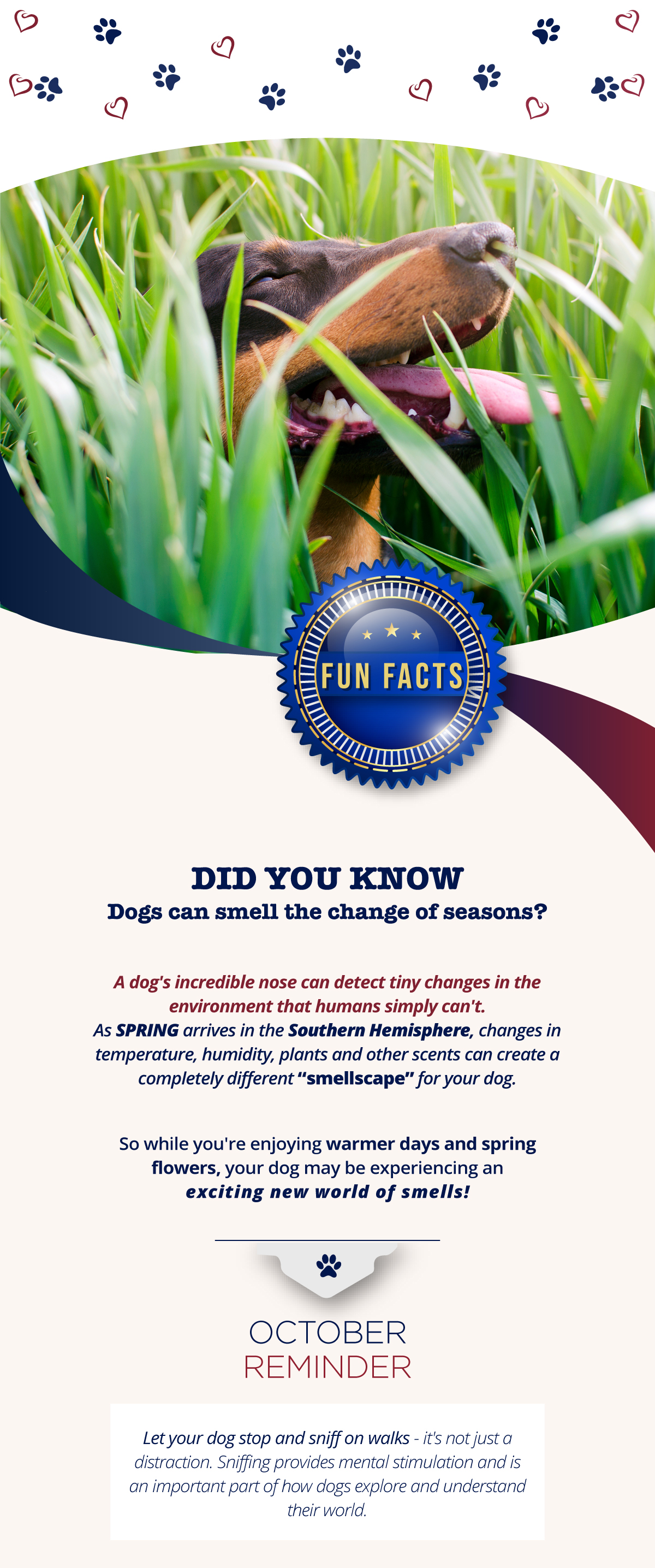 Did you know dogs can smell the chnage of seasons?