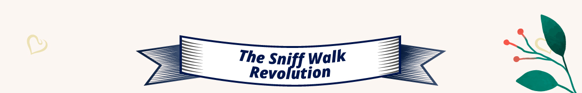 The Sniff Walk Revolution
