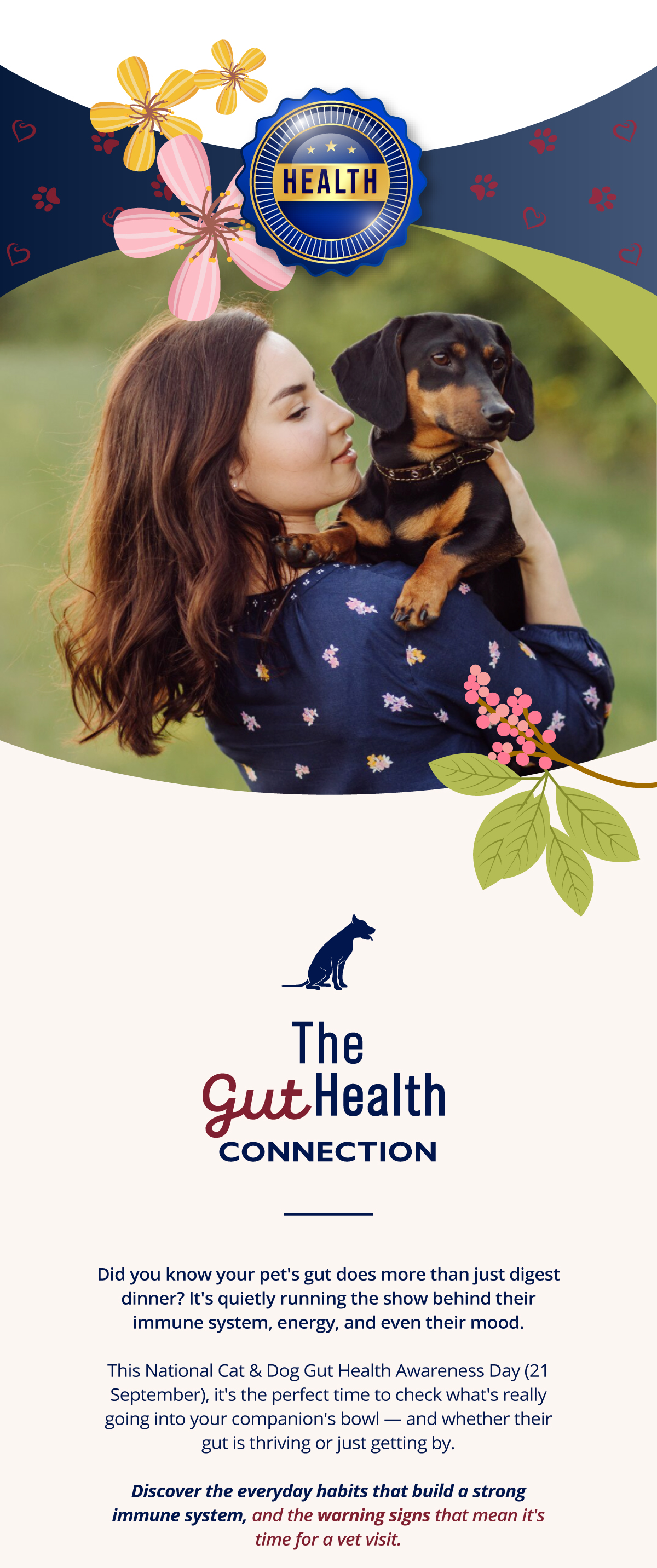 The Gut Health Connection