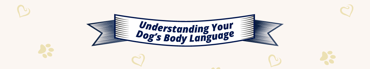 Understanding your dog's body language
