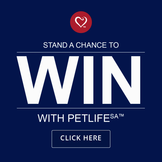 Click here to stand a change to win