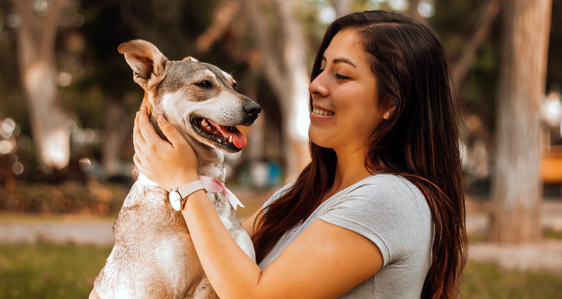 Taking Care Of Your Dog's Health - PetlifeSA