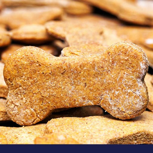 Recipe Dog Biscuits For Breakfast PetlifeSA