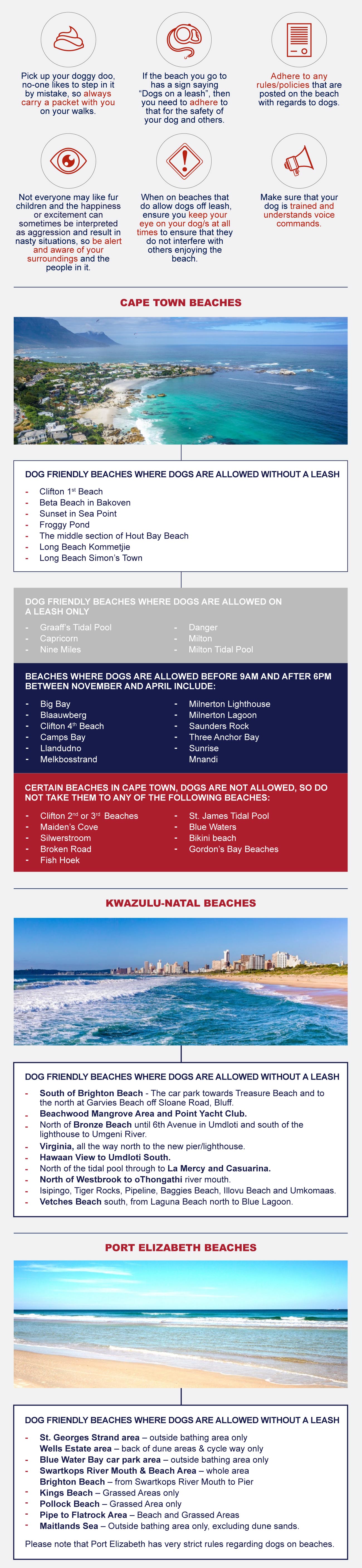 Dog friendly beaches in South Africa infographic