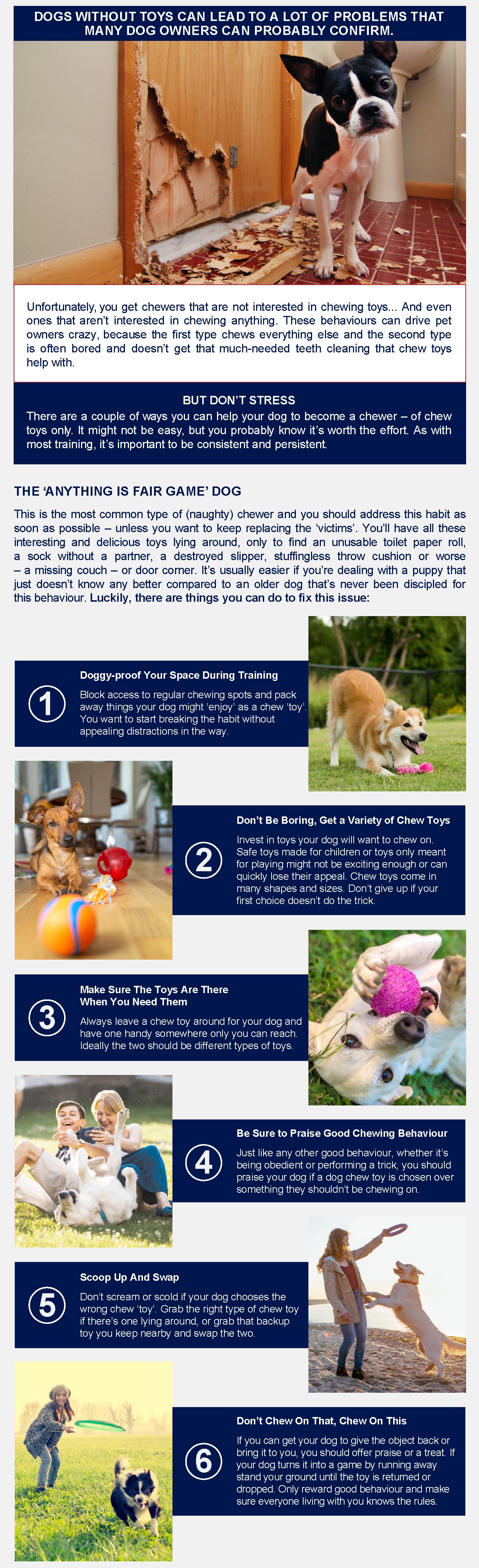 The benifits of dog toys 01 infographic