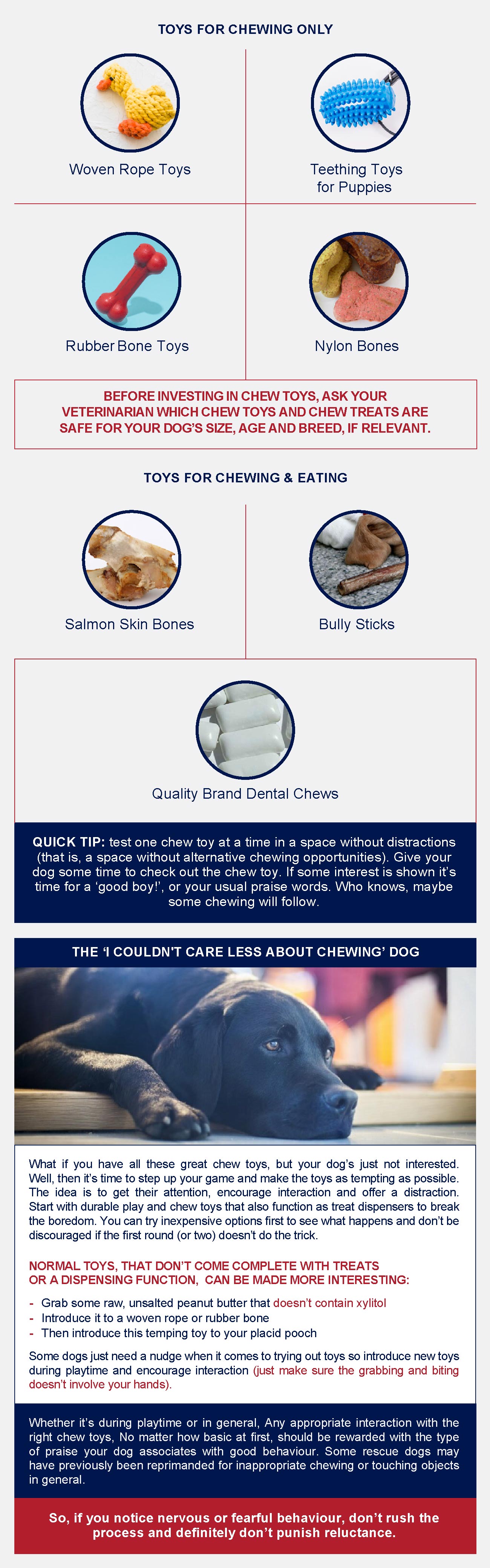 The benifits of dog toys 02 infographic