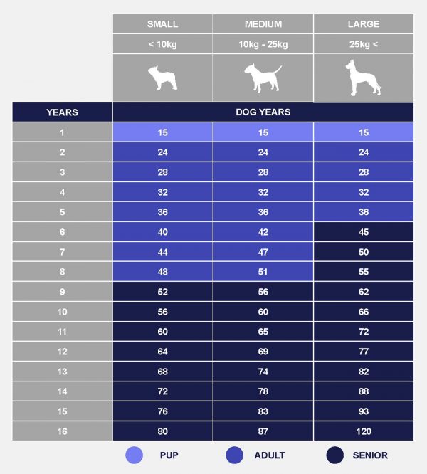 How Old Is Your Dog In Human Years? - PetlifeSA