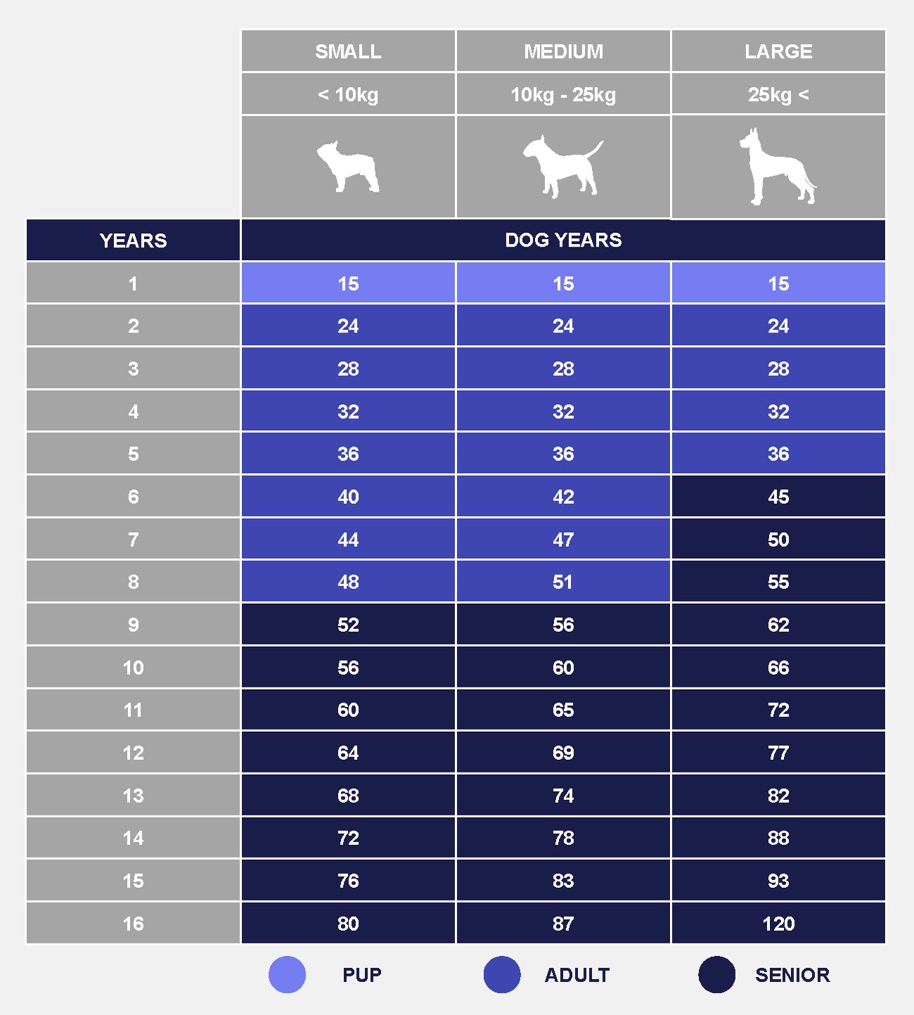 How old is your dog in human years