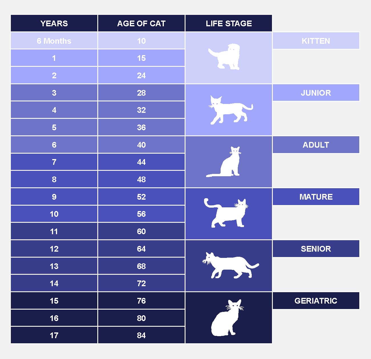 how old is a cat in 14 human years