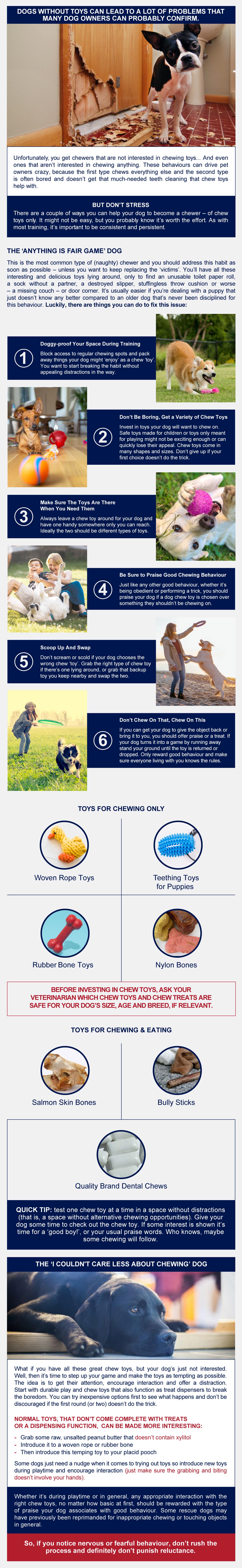 dog toys that move around