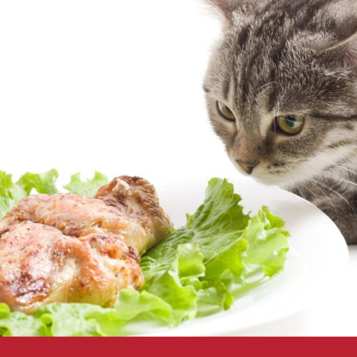 Read more about the article Recipe: Homemade Chicken Dinner