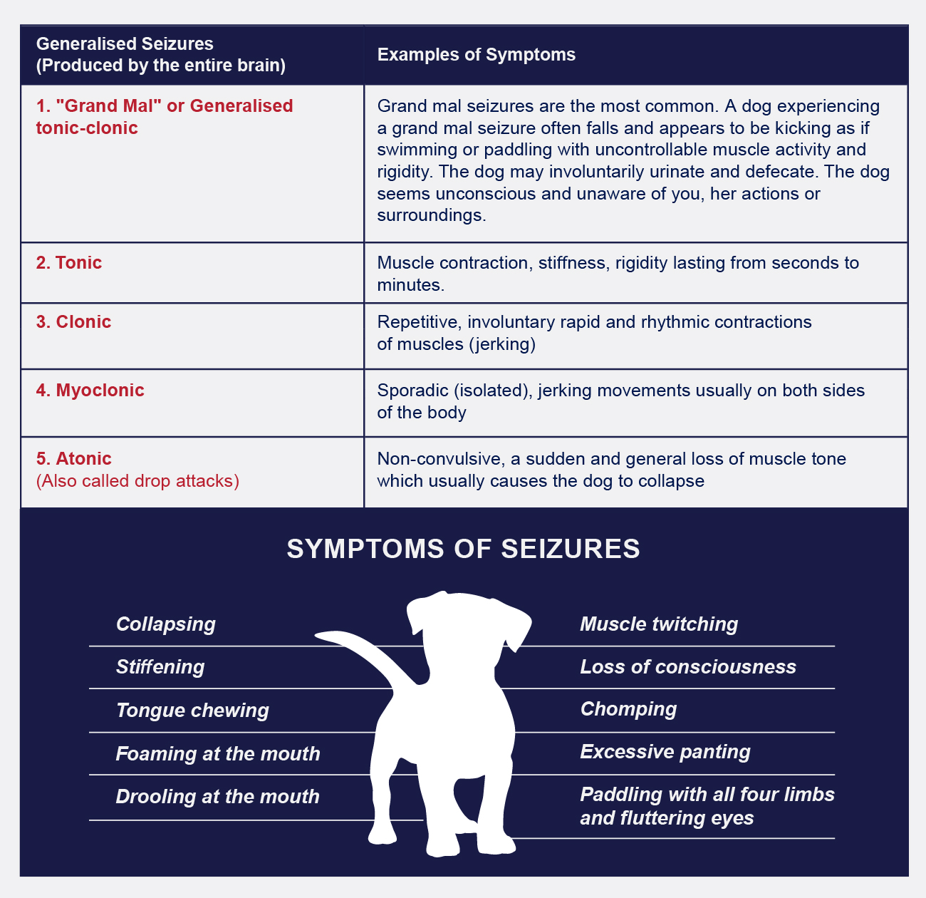 types of dog seizures