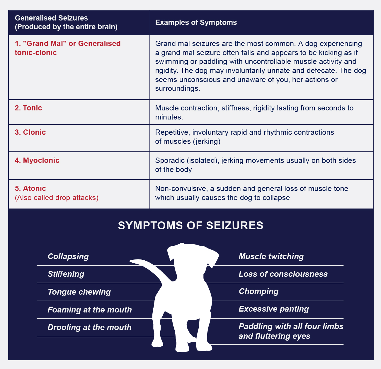 Symptoms Of Partial Seizure In Dogs