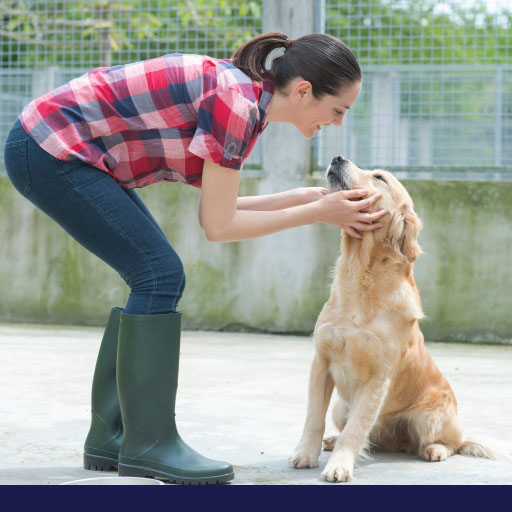 Read more about the article Unsung Heroes In The Animal Industry