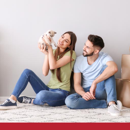 Read more about the article Checklist: Moving House With A Cat