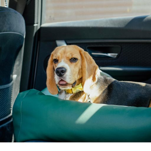 Read more about the article Accessories & Equipment For Safe Car Travel