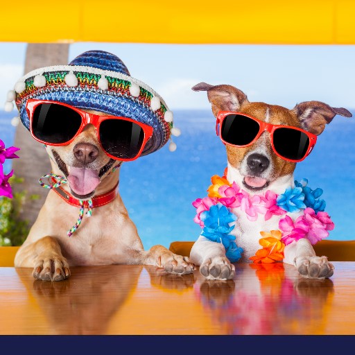 10 Tips For Throwing A Top Doggy Birthday Party Petlifesa