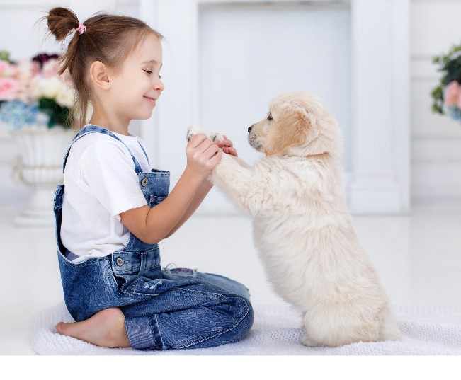 Read more about the article Responsible Pet Ownership In A Nutshell