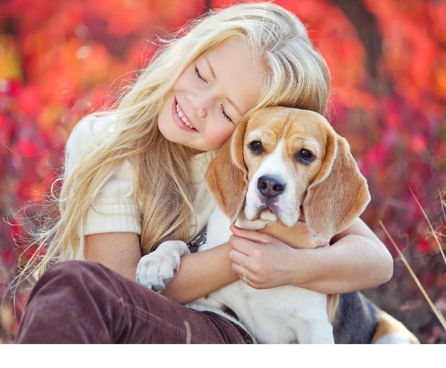 Read more about the article Reasons Why You Should Spay Or Neuter Your Pet