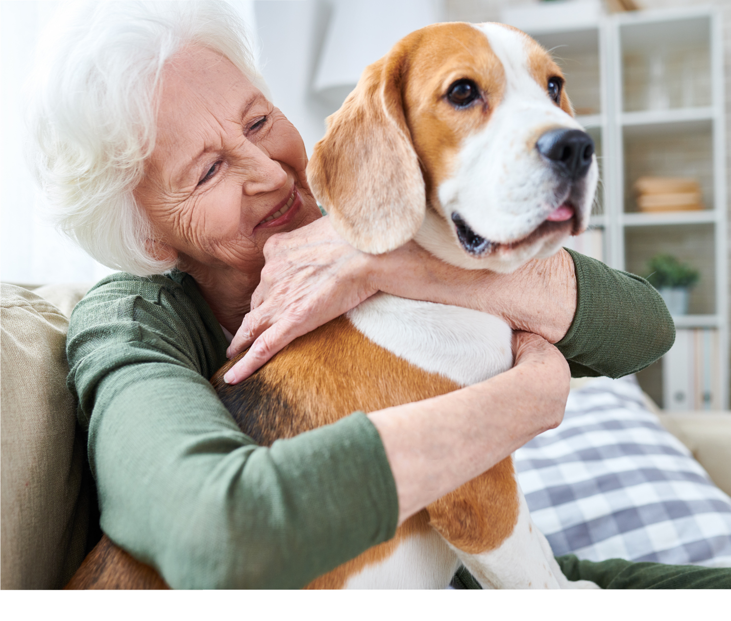 Read more about the article Companion Animals and Coronavirus
