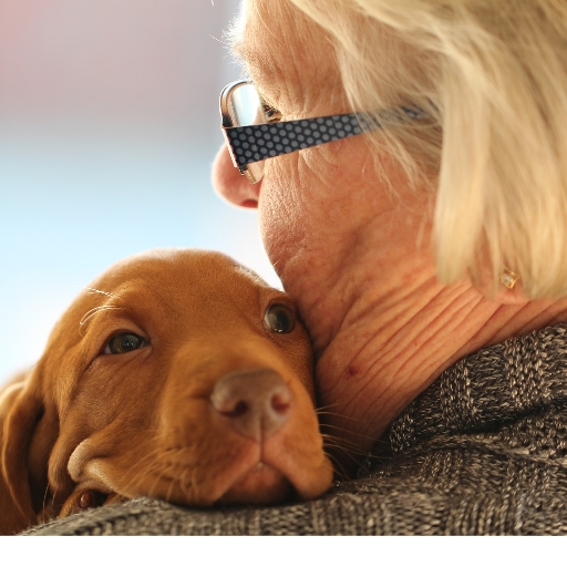 Read more about the article What to Know & Consider Before Adopting a Shelter Pet