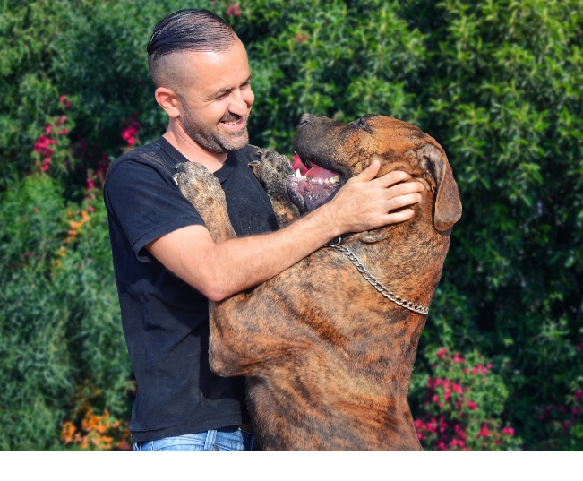 Read more about the article Ways To Celebrate Being A Pet Dad