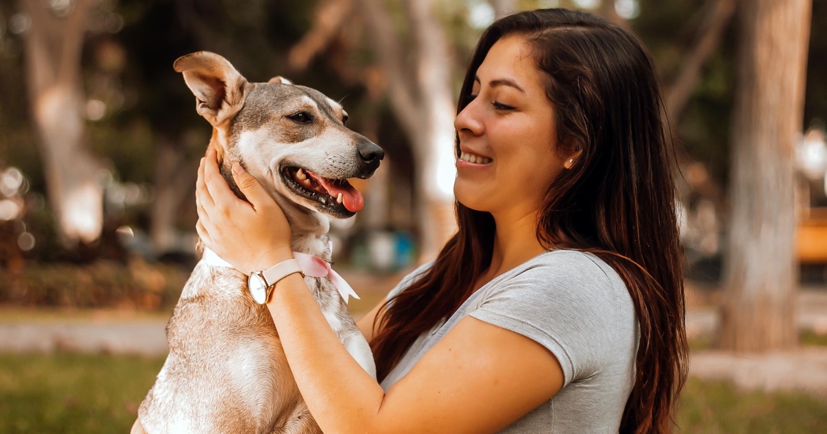 Taking Care Of Your Dogs Health Petlifesa