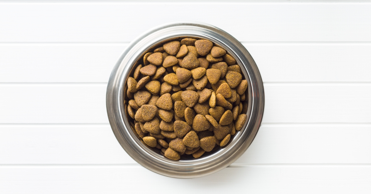 Dog Food Thoughts How Much Do You Know About Kibble? PetlifeSA