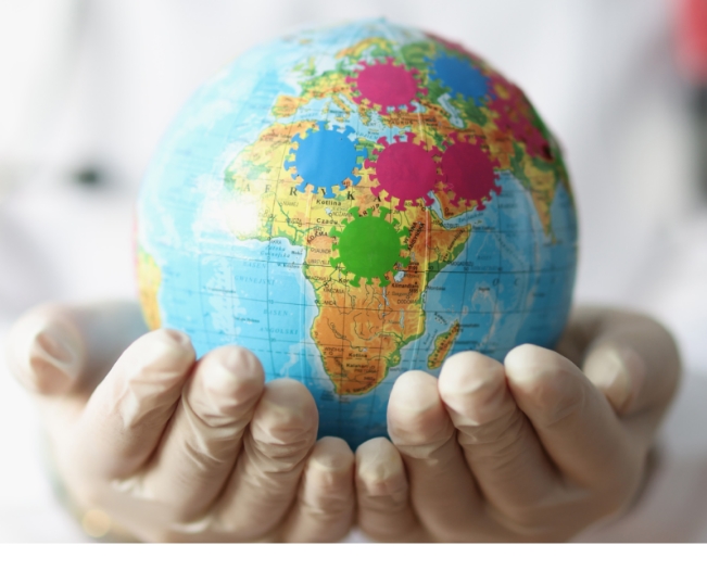 Read more about the article World Veterinary Day