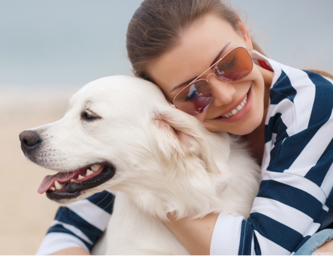 Read more about the article The Benefits Of Pet Ownership