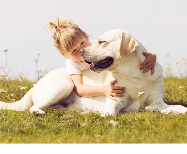 Read more about the article Pets That Survived Cancer
