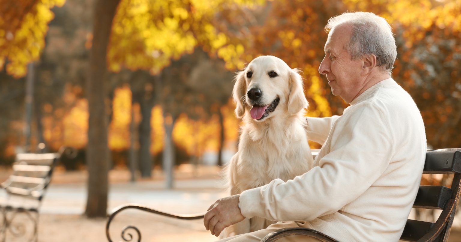 The Importance Of Pets In Our Lives - PetlifeSA