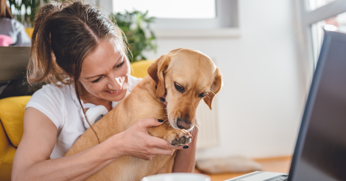 Take Your Pet To Work Day PetlifeSA