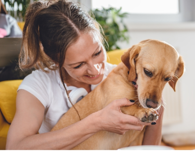 Read more about the article Take Your Pet To Work Day