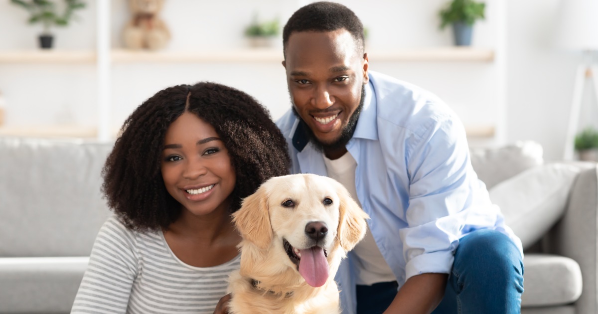 International Dog Day - Petlifesa