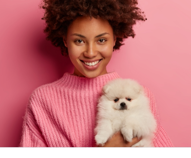 Read more about the article Benefits Of Pet Insurance