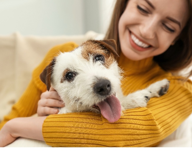 Read more about the article How To Choose The Right Pet For Your Lifestyle