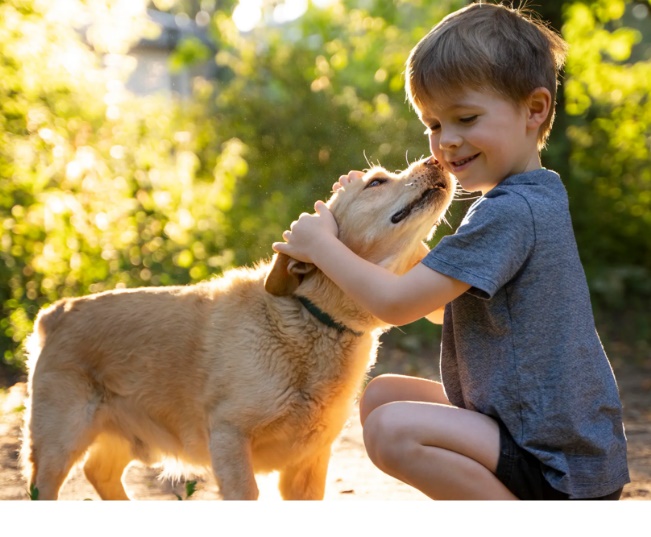 Read more about the article A Helpful Guide To Auto&General Pet Insurance For Your Companion