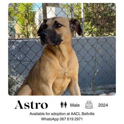 Astro