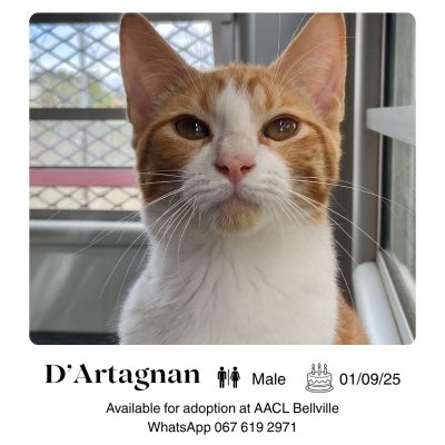 D_Artagnan