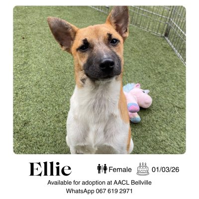 Ellie