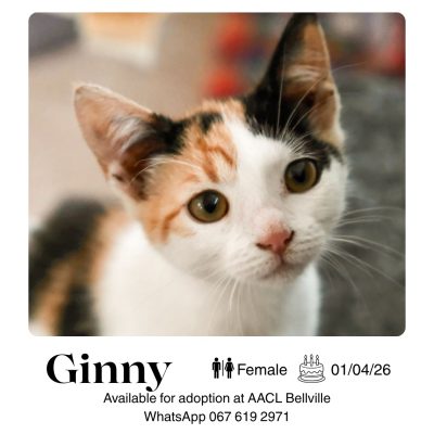 Ginny