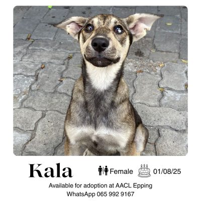 Kala