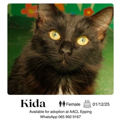 Kida