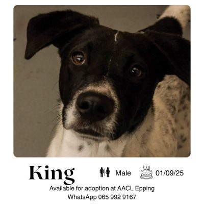 King
