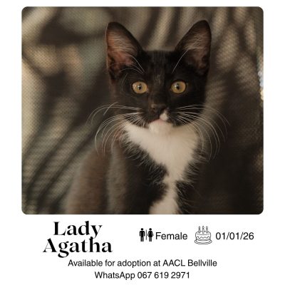 Lady Agatha